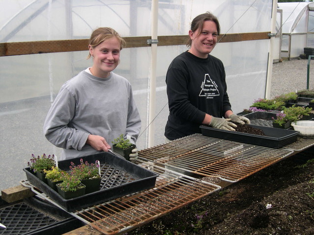 Cleaning plants