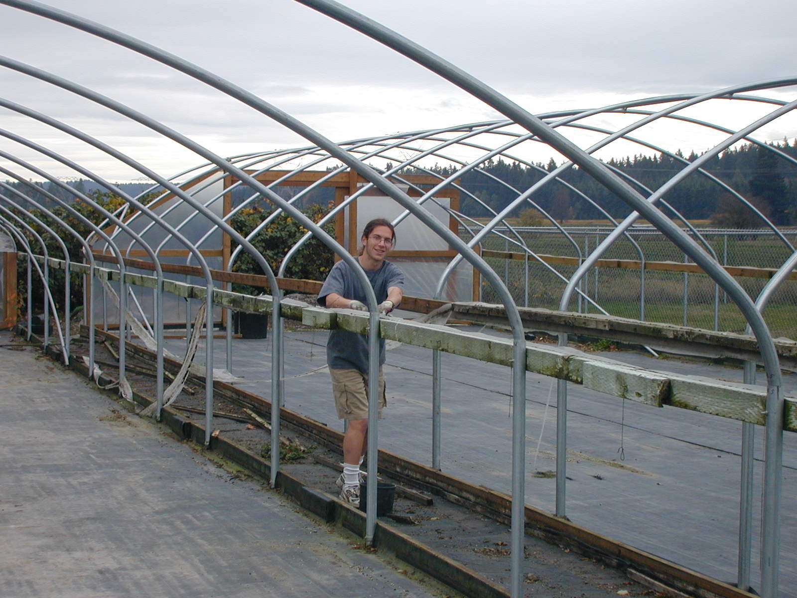 Greenhouse tear down