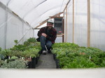 Wayne with tender Sedums