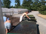 Potting crew 7-29-03 (1)