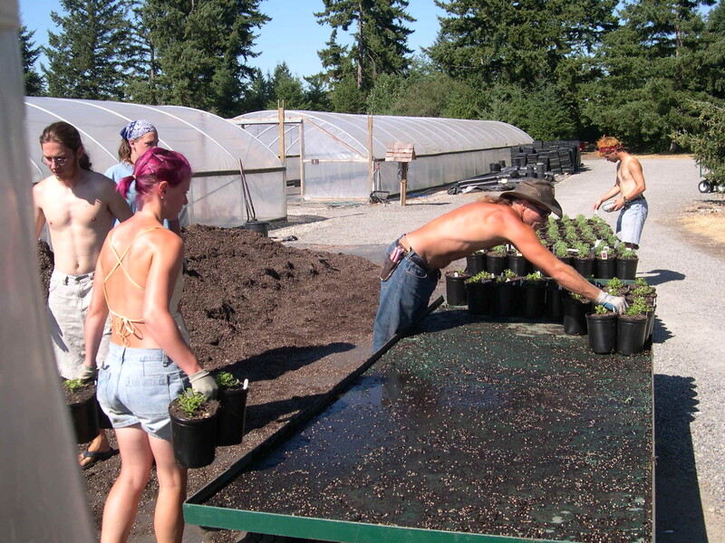 Potting crew 7-29-03 (2)