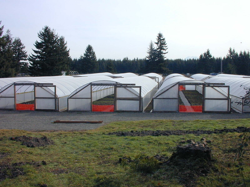 Greenhouses February 2002