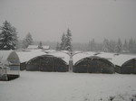 Snow at the nursery (1)