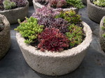 Hypertufa Planters