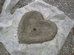 Hypertufa 6-11-04 (2